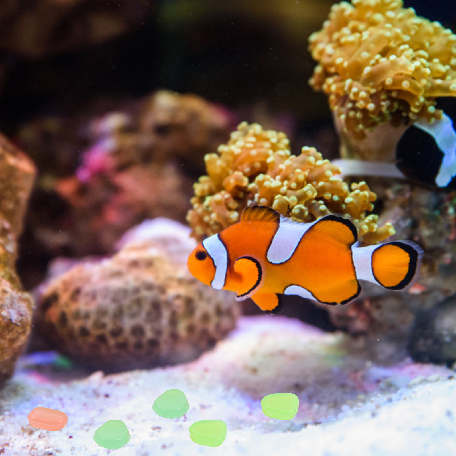 400Pcs Glow in The Dark Pebble - огляд і ціна Fish Tank Gravel