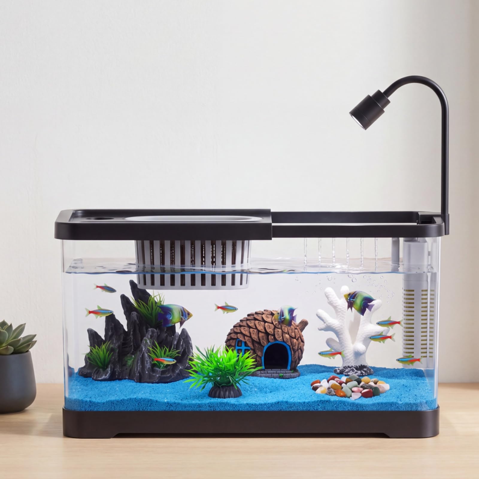 Fish Tank Starter Kit With Fil - огляд і ціна Aquarium Fish Betta