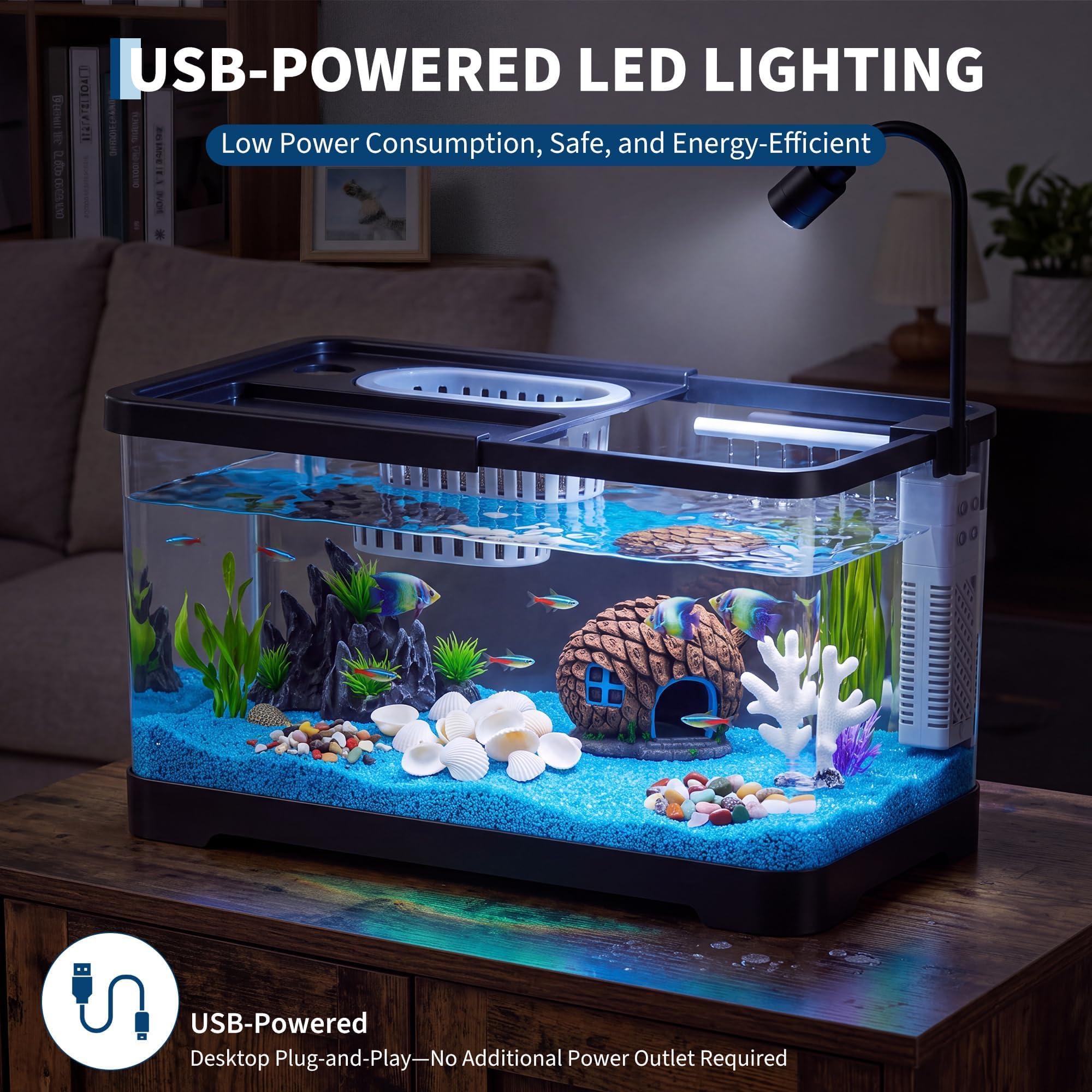 Fish Tank Starter Kit With Fil - огляд і ціна Aquarium Fish Betta