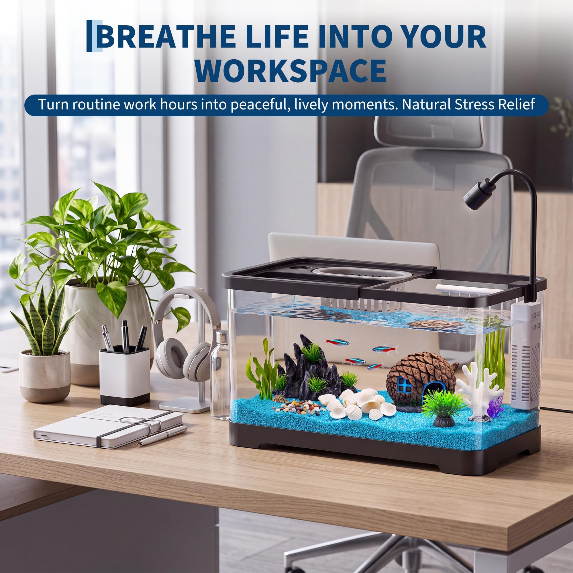 Fish Tank Starter Kit With Fil - огляд і ціна Aquarium Fish Betta