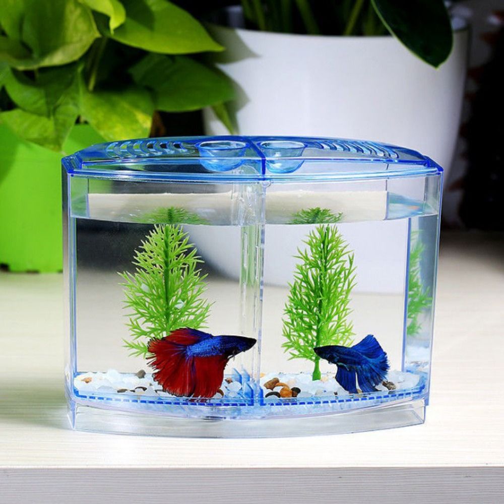 Transparent Betta Fish Tank, D - огляд і ціна Aquarium Fish Betta