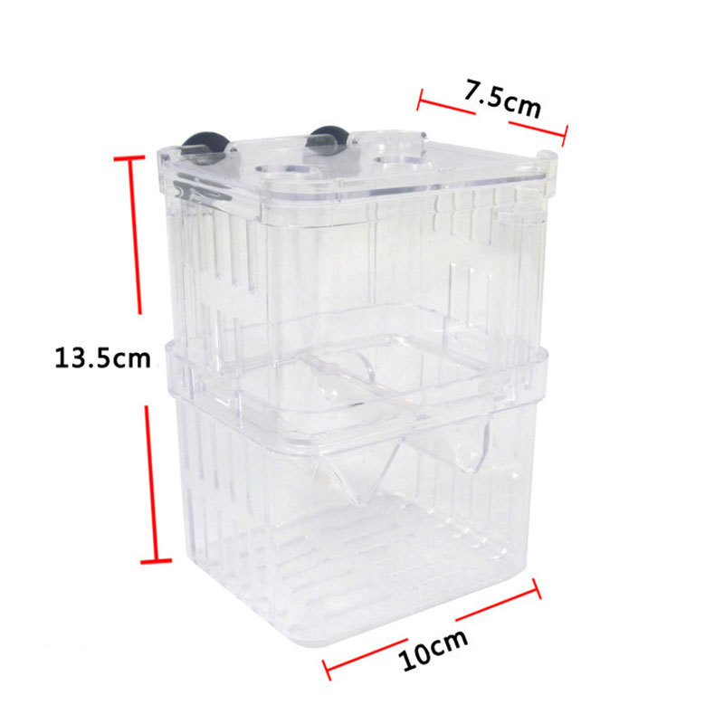 Peacock Fish Breeding Isolatio - огляд і ціна Aquarium Fish Betta