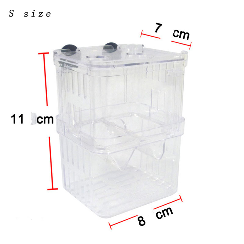 Peacock Fish Breeding Isolatio - огляд і ціна Aquarium Fish Betta